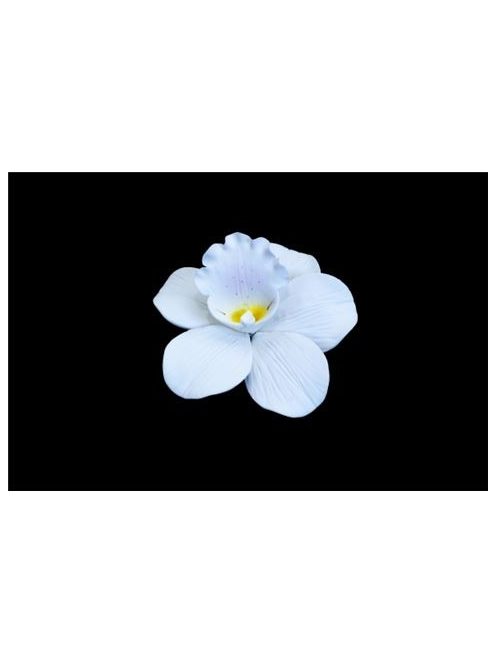 Cukorvirág Orchidea kicsi  fehér, dróttal.